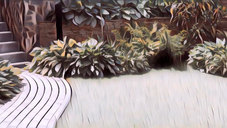 7 Tips Merawat Taman dengan Rumput Gajah Mini