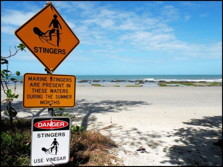 2. Cape Tribulation - Australia