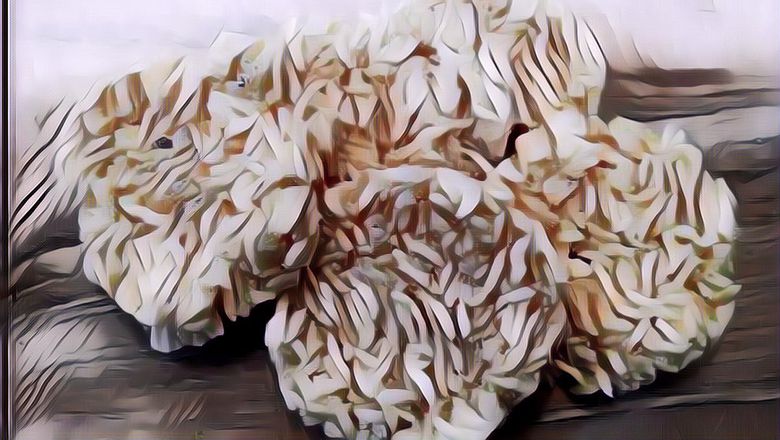 5 Cara Menggoreng Rengginang agar Mekar dan Renyah