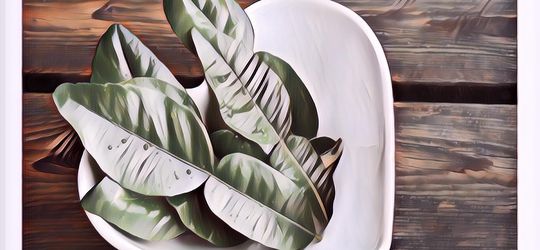 Selain Bikin Sedap Masakan, Daun Jeruk Purut Ternyata Punya Manfaat Lain yang Fantastis! Apaan Tuh?