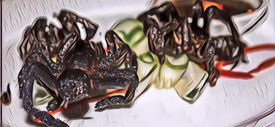 Kecoa hingga Tarantula, Ini Serangga yang Ternyata Bisa Jadi Makanan Mewah!