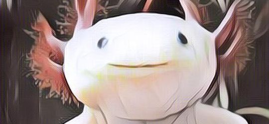 5 Hewan ini Mampu Berpuasa 1 Sampai 10 Tahun