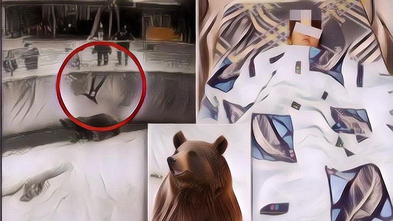 Tega! Ibu Lempar Anaknya Berusia 3 Tahun Ke Kandang Beruang Di Depan Pengunjung Kebun Binatang, Endingnya Mengejutkan