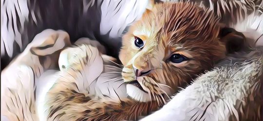 Deretan Fakta The Lion King yang 'Dihidupkan' Lagi oleh Disney