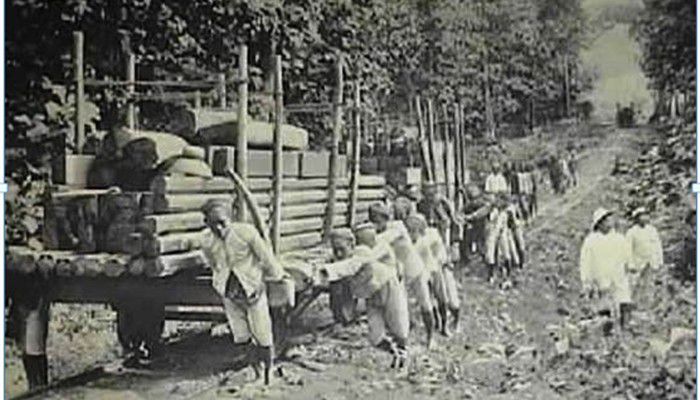 Pembantaian Massal Saat Membangun Jalan Raya Pos (1808-1809)