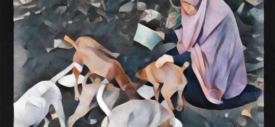 Desy: Kisah Wanita Berhijab yang Menolong Anjing Liar