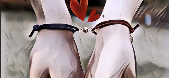 5 Ide Barang Couple Pasangan yang Unik, Kompak dan Romantis Abis!