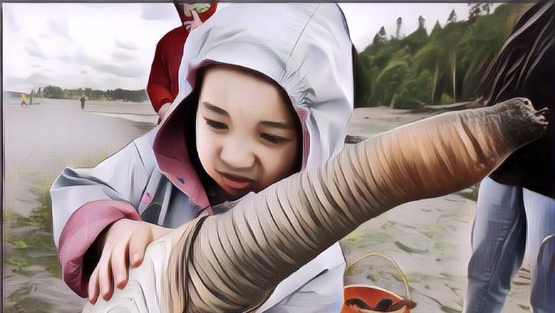 Fakta yang Jarang Orang Tahu: No 5 Sukar Dipercaya Tapi Emang Gitu Adanya