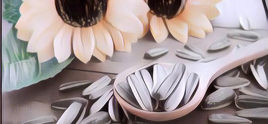 Benarkah Makan Kuaci Bagus Untuk Program Diet Sampai Bisa Bikin Kurus? Begini Penjelasan Pakar