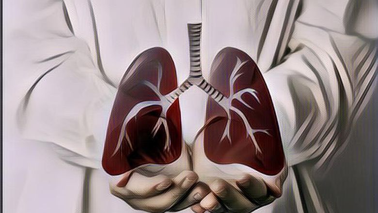 5 Makanan Ini Punya Kemampuan untuk Membersihkan Paru-Parumu dari Tar dan Nikotin, Cocok untuk Perokok!