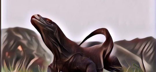 Seberapa Cepat Komodo Lari? Hah, Beneran Bisa Secepat Itu.