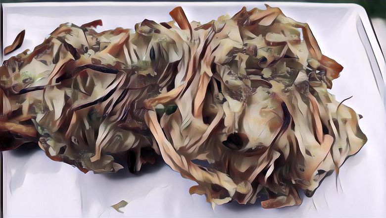 Rekomendasi Camilan Berbuka Puasa: Bakwan Sayur Renyah, Intip Resepnya!