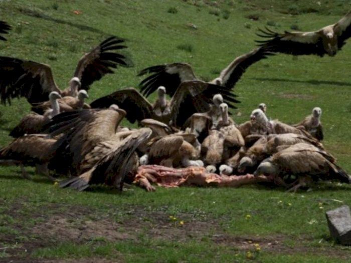 2. Pemakaman Langit, Tibet