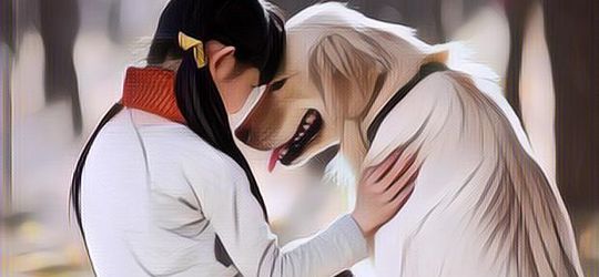 5 Binatang yang Dapat Memahami Bahasa Manusia dengan Baik, Bisa untuk Curhat dan Berkeluh Kesah!