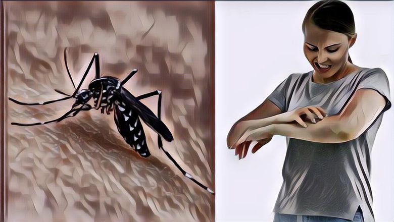 Tragis! Kronologi Calon Pilot Cantik Meninggal Setelah Digigit Nyamuk, Sempat Dirawat 3 Hari