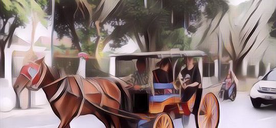 Viral Seekor Kuda Delman Hampir Jatuh Gara-Gara 'Emak Emak' Naik Motor