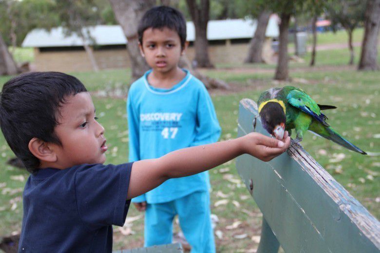 "Jinak-jinak merpati, sudah dekat terbanglah dia. "