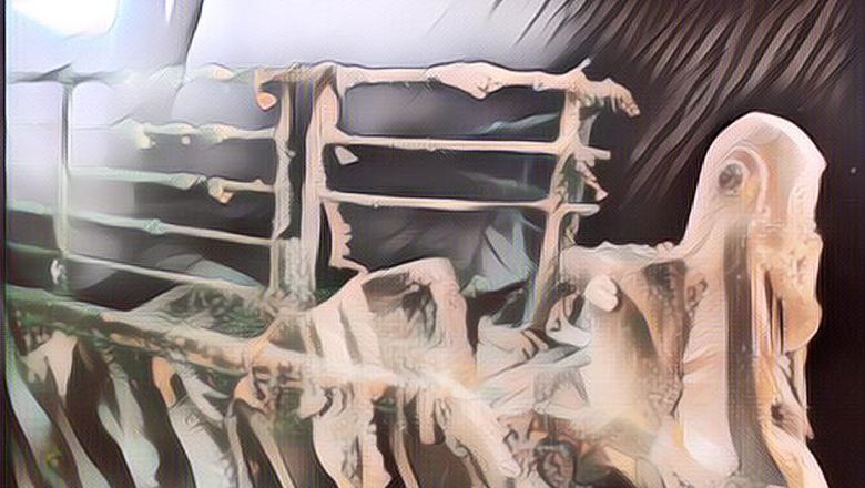 Video Terbaru Bangkai Titanic Dirilis, Jelas Banget Penampakan Kapalnya di Dalam Lautan