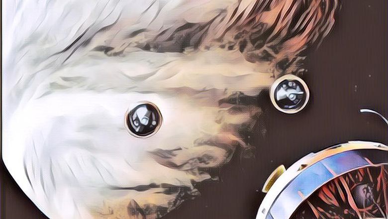 Penemuan Mengejutkan! Ada Tanda-Tanda Kehidupan Di Venus