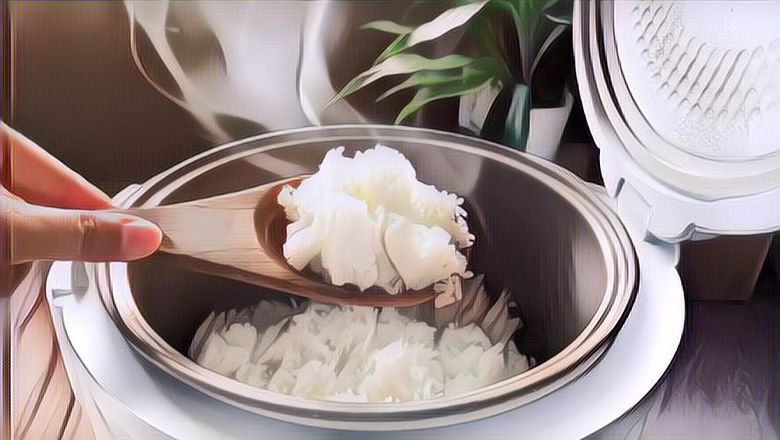 Kocak! Masak Nasi Goreng Tapi Hasilnya Gosong, Bentuknya Malah Mirip Kayak Batu Cobek