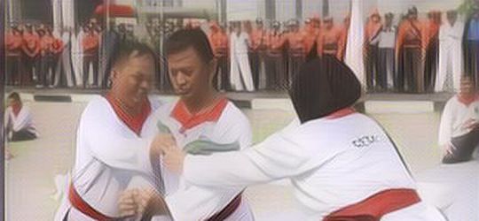 Mengenal Ragam Perguruan Pencak Silat Tertua di Indonesia