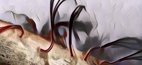 Geliii! Ilmuwan Ini Tak Sengaja Temukan Cacing Zombie di Dasar Laut