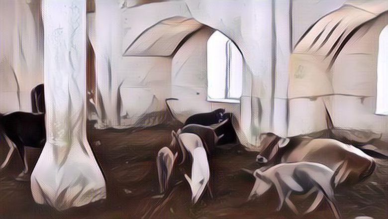 Sedih Banget! Ditinggal Pergi Penduduk, Masjid Bersejarah di Agdam Azerbaijan Ini Sekarang Beralih Fungsi Jadi Kandang Babi