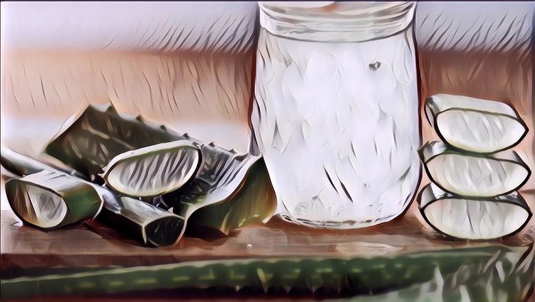 Es Lidah Buaya Selasih, Minuman Dingin dan Menyegarkan Buat Buka Puasa