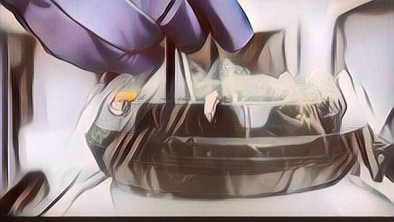 Luna Maya Putuskan Lakukan Pembekuan Sel Telur Sel Telur, Apa Alasannya?