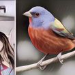 Lagi Viral di TikTok, Begini Cara Cek Hubungan dengan Pasangan Pakai Bird Theory