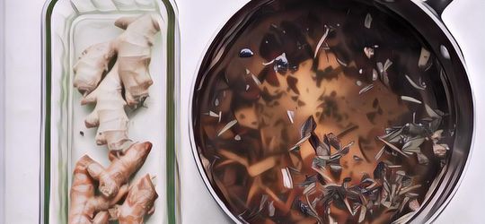 Panik, Asal Mula Lahirnya 'Empon-Empon Corona' Di Yogyakarta