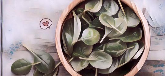 Deretan Makanan Ini Menjadi Berbahaya Jika Dipanaskan Kembali