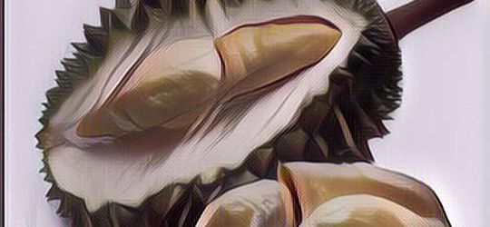 Jenis-Jenis Durian di Indonesia, Mau? Paling Dicari Nih