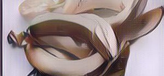 Viral Influencer Pakai Kulit Pisang untuk Dijadikan Bahan Botox, Dokter Kulit Beri Komentar