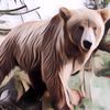 3 Fakta Menarik Beruang Coklat Himalaya, Sudah Tahu Belum?