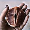 Kebanyakan Seks Bikin Vagina Longgar, Mitos atau Fakta?