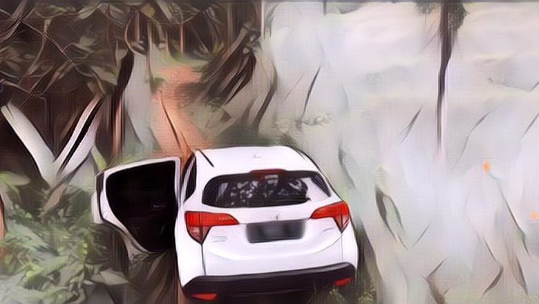 HIII Serem! Kisah Pemudik yang Tersesat di Hutan Gaib Subang Selama 8 Jam