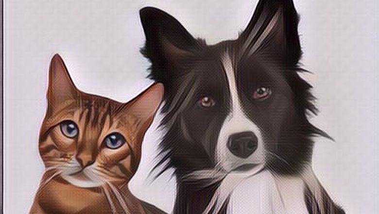 Hati-hati! 5 Hewan Jelmaan Jin Ini Ternyata Ada di Sekitar Rumah