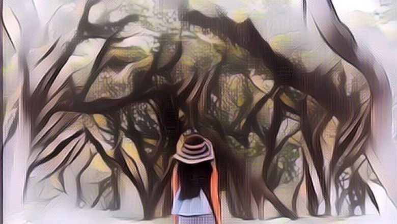 Panorama Hijau Benculuk, Cocok Buat Menghiasi Jiwa dan Instagram-mu Nih