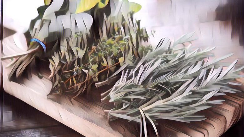 7 Jenis Rempah (Herbs) yang Biasa Dipakai untuk Menu Kuliner Khas Western, dari Steak Sampai Pasta