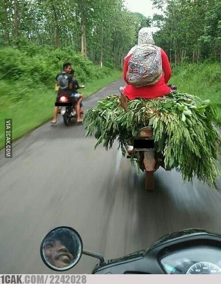 6. Pernah nggak sih ketemu yang kayak gini? Level keseimbangan tingkat tinggi