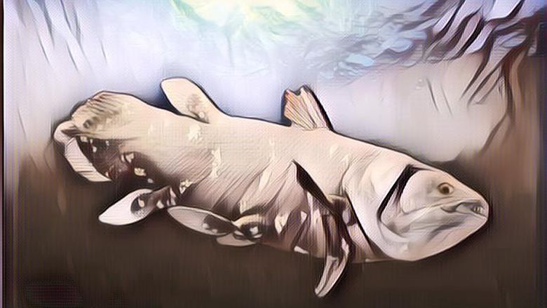4 Ikan Purba Mengguncang Dunia Karena Masih Bertahan di Abad Ini