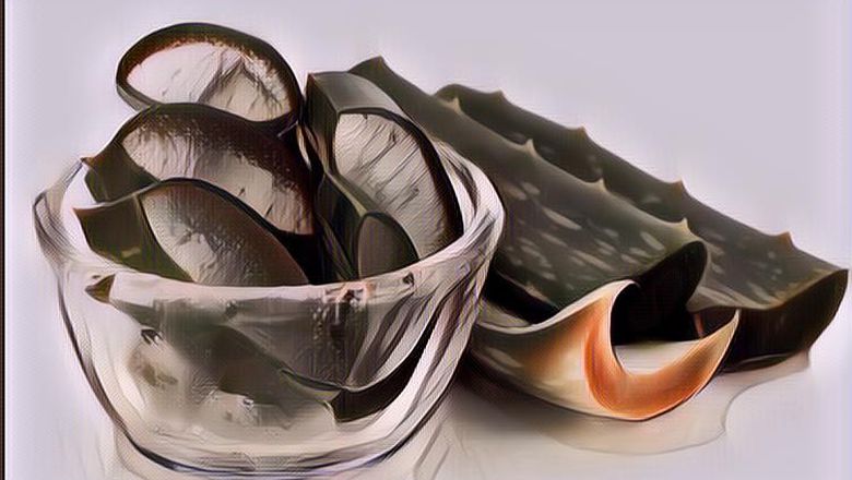 7 Manfaat Super Lidah Buaya yang Gak Banyak Orang Tahu