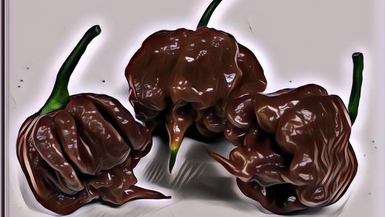 Usai Melahap Cabai, Kepala Seorang Pria Terasa Seperti Disambar Petir