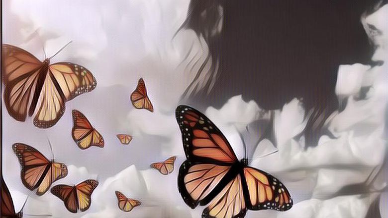 Daur Hidup Kupu-Kupu dari Telur Hingga Dewasa