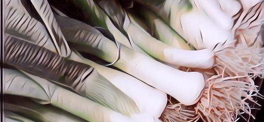 Meski Banyak yang Tak Suka Karena Baunya Menyengat, Ini 5 Manfaat Mengonsumsi Daun Bawang Bagi Kesehatan