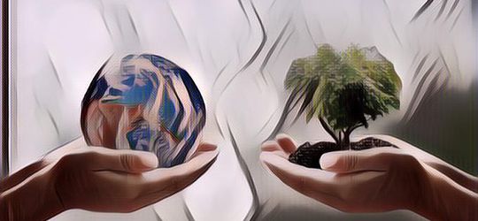 Selamat Hari Bumi! Begini Cara Merayakan Hari Bumi yang Sederhana