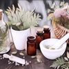 Seluk Beluk Homeopathy, Pengobatan Alternatif yang Memanfaatkan Bahan Alami dan Energi Tubuh Sendiri