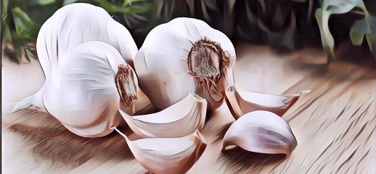 Nggak Cuma Buat Masakan, Khasiat Bawang Putih Ternyata Beragam Lho