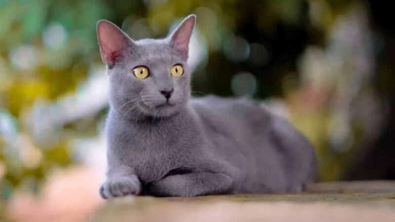 4. Terjaga Keasliannya